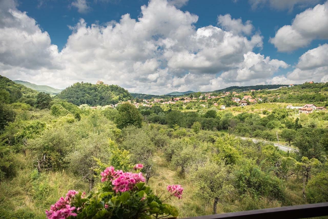 Pensiunea Casa Cu Flori Cisnădioara Esterno foto