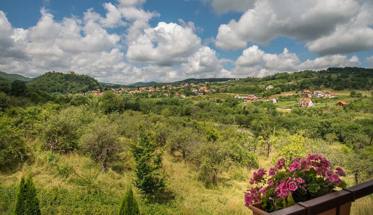 Pensiunea Casa Cu Flori Cisnădioara Esterno foto